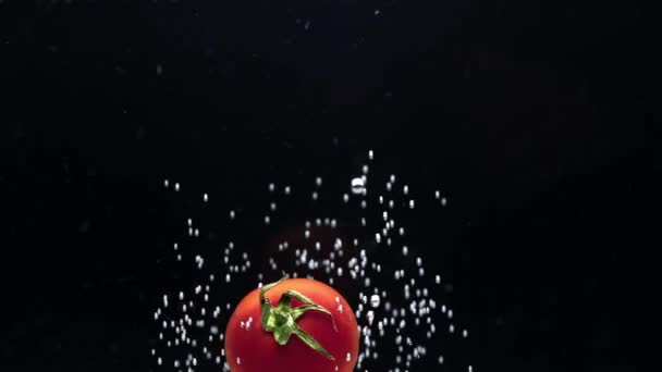 Nahaufnahme von Tomaten mit Luftblasen. — Stockvideo