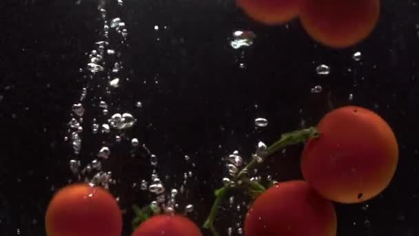 Nahaufnahme Gruppe von Tomaten mit Luftblasen. — Stockvideo