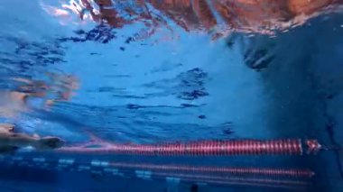 havuzda yüzen erkek atlet yüzücü sualtı görünümü