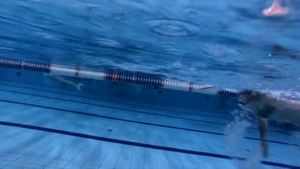 Vedere subacvatică masculin freestyle înotător în piscină — Videoclip de stoc