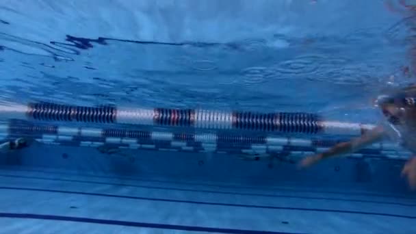 Vista subaquática masculino peito nadador na piscina — Vídeo de Stock