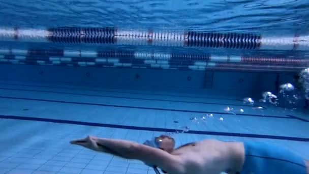 Víz alatti kilátás férfi Freestyle úszó a medencében — Stock videók