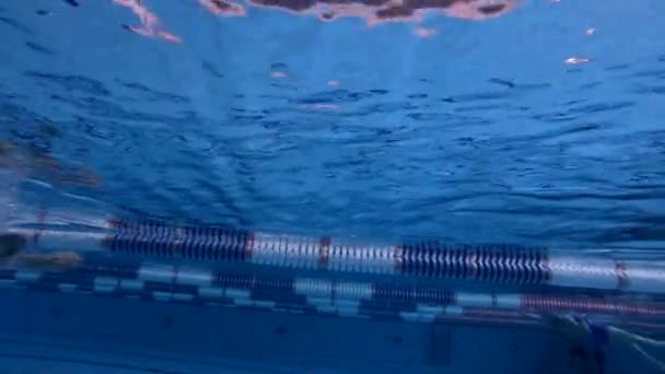 Підводний погляд чоловічий плавець у басейні — стокове відео