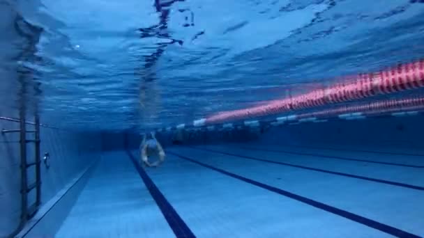 Vista submarina nadador de estilo libre masculino en la piscina — Vídeos de Stock