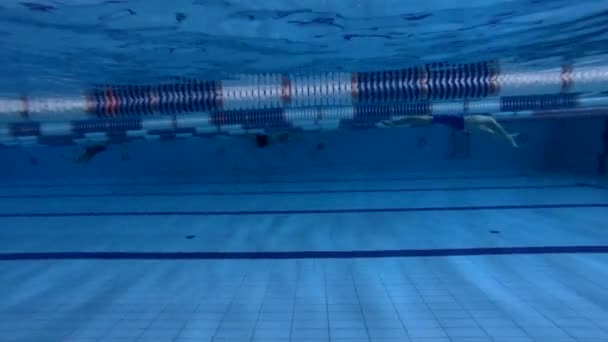 Víz alatti kilátás férfi Freestyle úszó a medencében — Stock videók