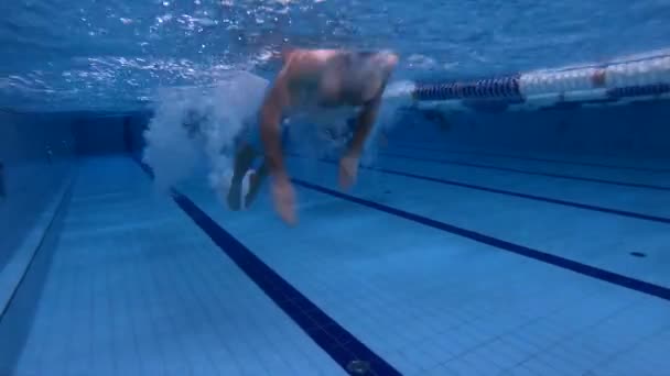 Subaquático vista masculino freestyle nadador na piscina — Vídeo de Stock
