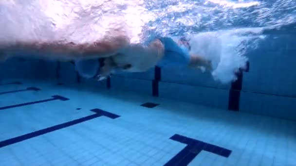 Vue sous-marine nageur libre masculin dans la piscine — Video