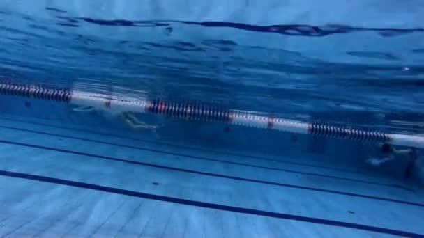 Undervattens visning manliga Freestyle simmare i poolen — Stockvideo