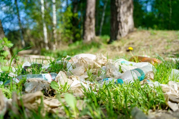 Imagen del paquete con basura, piedra, hierba en el bosque — Foto de Stock