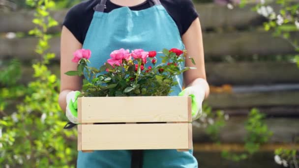 Mujer en delantal azul sostiene en brazos caja de madera con flores — Vídeo de stock
