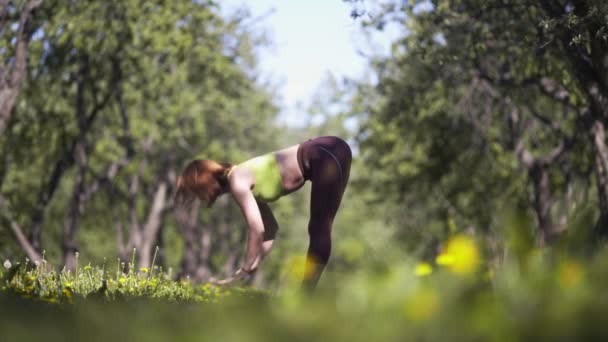 Slank meisje in broek top praktijken yoga asana zon aanhef — Stockvideo