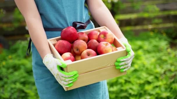 Vrouw houdt in de armen houten doos toont rijpe appels op db — Stockvideo