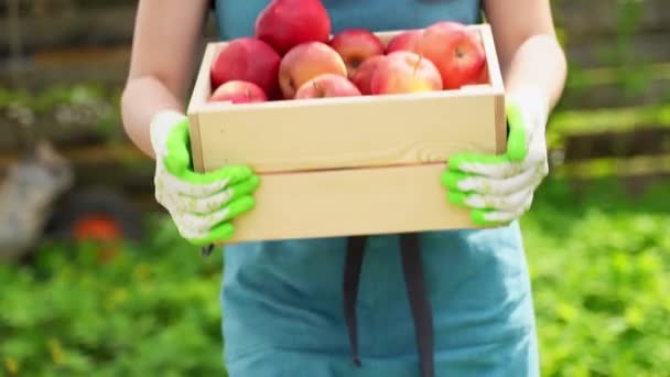 Roodharige vrouw houdt in Arms houten doos met rijpe appels — Stockvideo