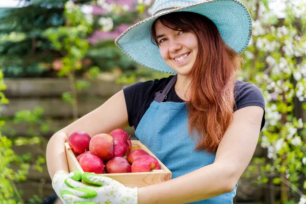 Afbeelding van gelukkige vrouw in de hoed met doos met appels in de tuin — Stockfoto