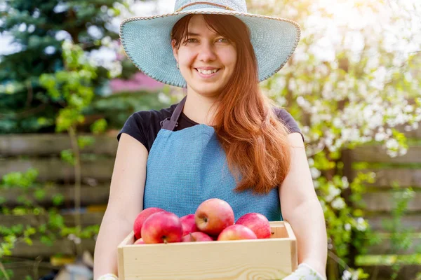 Foto de mujer alegre en sombrero con caja con manzanas en el jardín — Foto de Stock