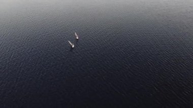 muazzam rüzgar sörfü siluetleri sonsuz su yelken