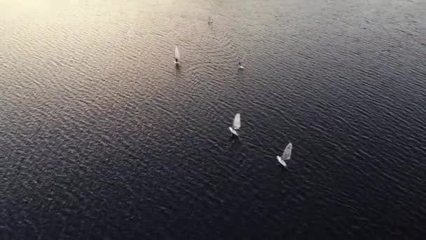 Personnes silhouettes planche à voile sur planches de surf sur petites vagues — Video