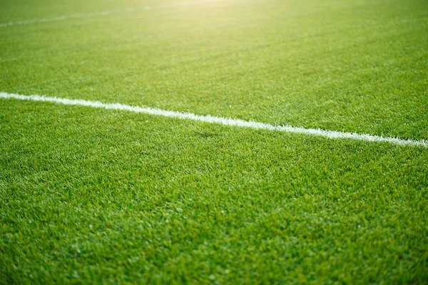 Photo of soccer field with white stripe — Stock Photo, Image