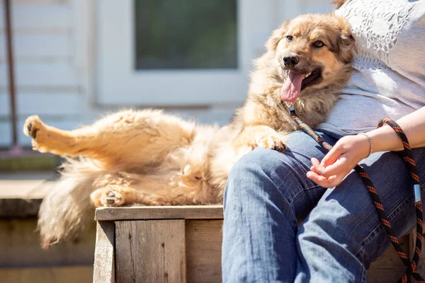 Fotografie psa s otevřenou pusou a ženou v džínách sedícího na dřevěné lavici proti pozadí bílé budovy na ulici — Stock fotografie