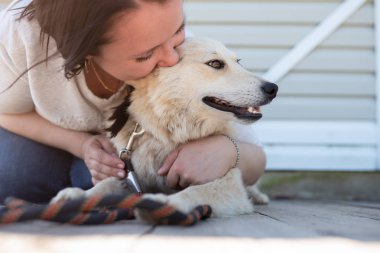 Sokakta beyaz ahşap duvar yakınında beyaz bir köpek sarılma kadın fotoğrafı