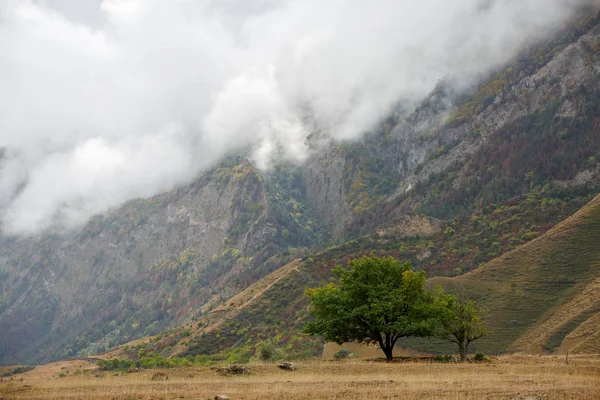 Pintoresco paisaje de montañas con vegetación verde, árboles, cielo nublado y sombrío — Foto de Stock