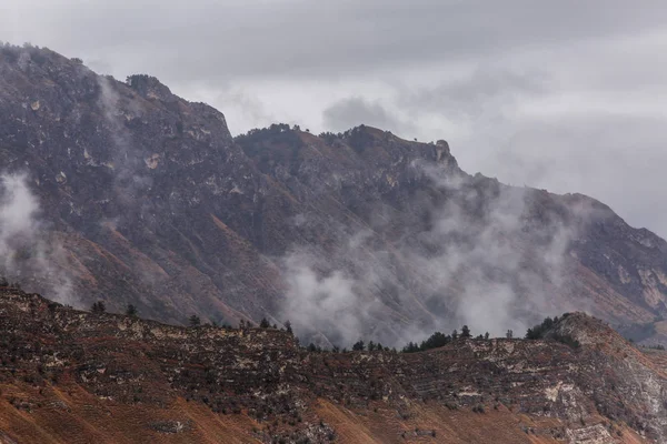 Ağaçlar, duman, gri gökyüzü ile dağların fotoğrafı — Stok fotoğraf
