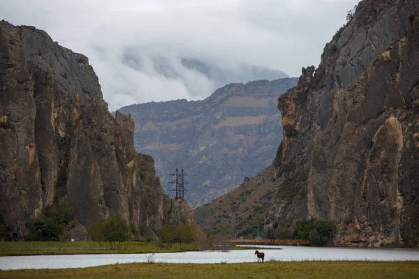 Photo of mountains, smog, mountain river, horse