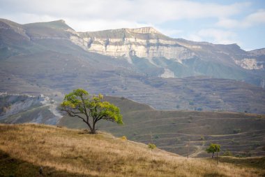 Ağaçlı dağ görüntüsü, bulutlarla mavi gökyüzü
