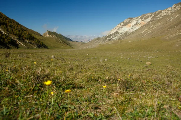 Obrázek horské oblasti s modrou čistou oblohou, zelené pole v létě — Stock fotografie