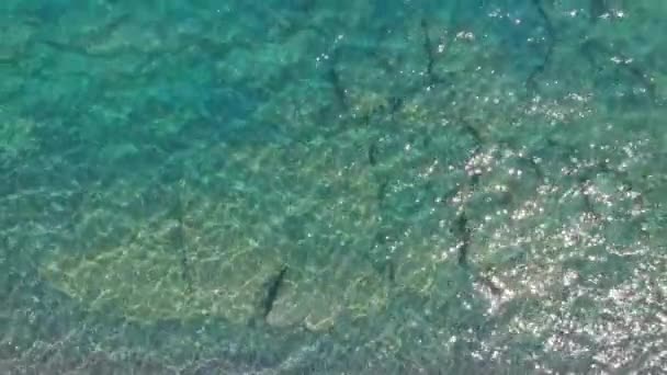 Água do mar azul-turquesa reflete a luz solar brilhante em barcos brancos — Vídeo de Stock