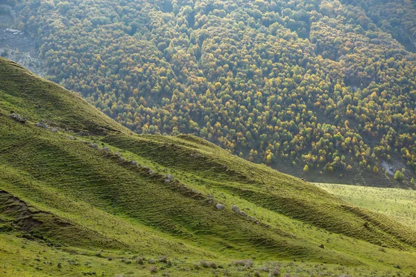 Fotografie malebného horského terénu — Stock fotografie