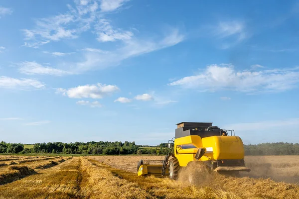 Foto da lontano della mietitrice raccolta del grano, cielo blu  . — Foto Stock