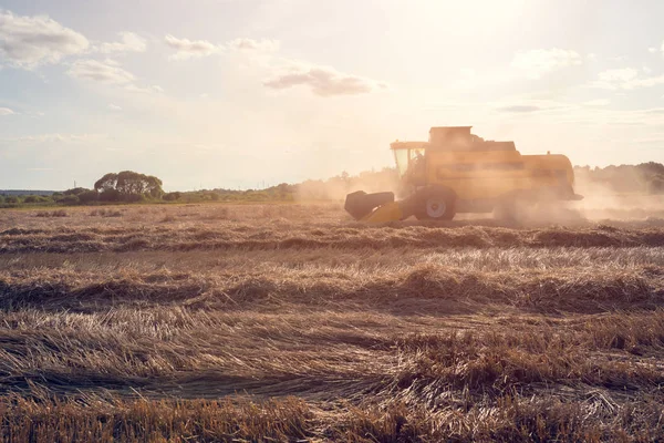 Tined foto de trabajo de campo de trigo cosechadora . — Foto de Stock