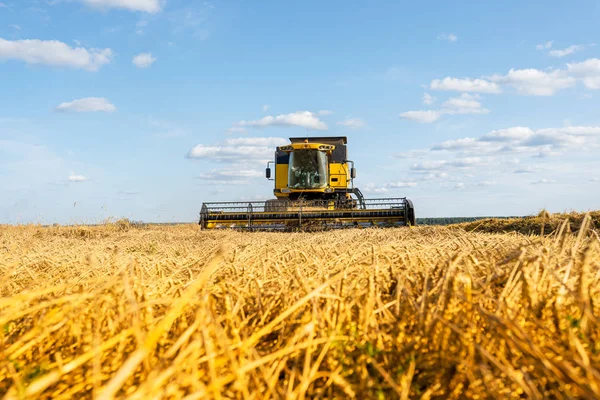 Immagine da lontano della mietitrice raccolta del grano, cielo blu . — Foto Stock