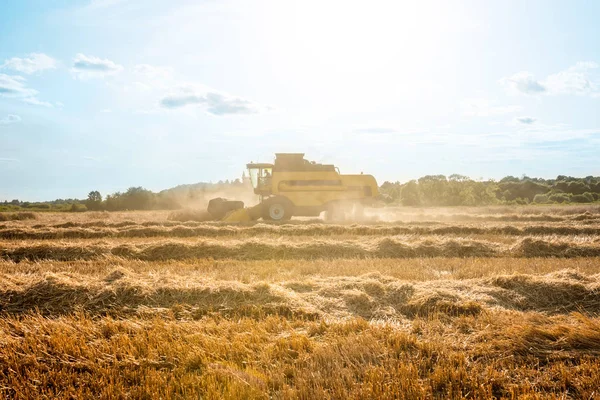 Foto de trabalho de campo de trigo colheitadeira . — Fotografia de Stock