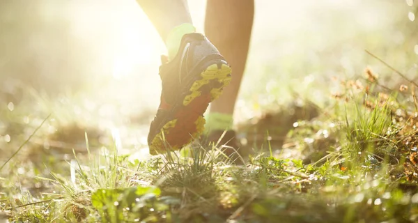 Photo of legs behind running in park — Stock Photo, Image