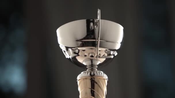 Trophy with handles and golden support rotates in darkness — Stock Video
