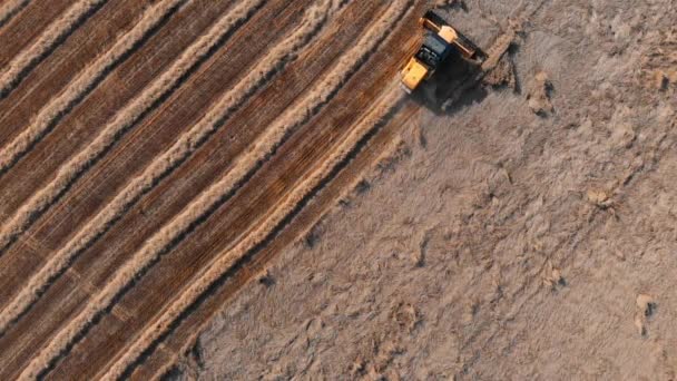 Orange harvester creates wheat rolls on harvested field — Stock Video