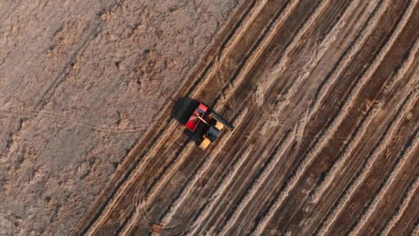 Cosechadora naranja vierte grano en camión de pie en el campo — Vídeos de Stock