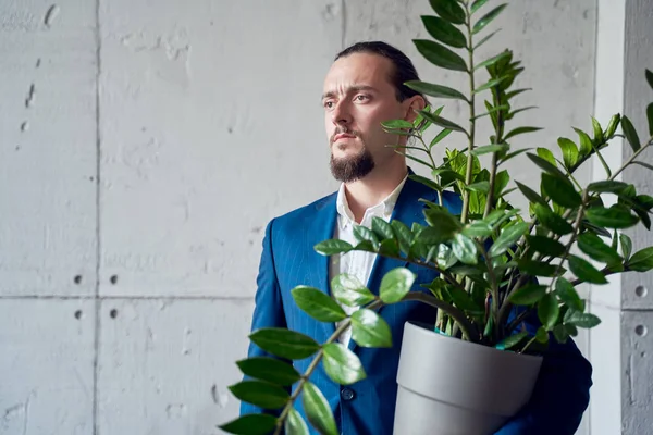 Bild eines brünetten Mannes im Business-Anzug mit Zimmerpflanze in der Hand vor dem Hintergrund einer grauen Betonwand. — Stockfoto