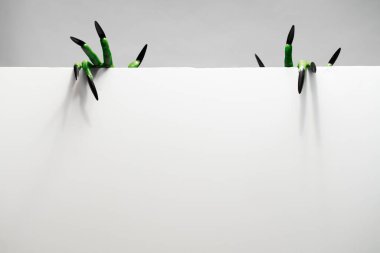 Uzun tırnaklı iki yeşil el stüdyoda boş çarşaf tutuyor.