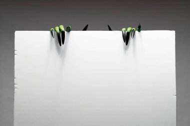 Uzun tırnaklı iki yeşil zombi eli stüdyodaki gri arka planda boş kağıt tutuyorlar.