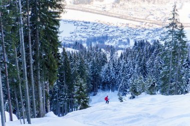 Çamların arasında, karlı yamaçta kayakçının fotoğrafı.