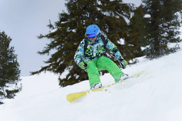 Homem snowboarder equitação na montanha no fundo das árvores à tarde — Fotografia de Stock