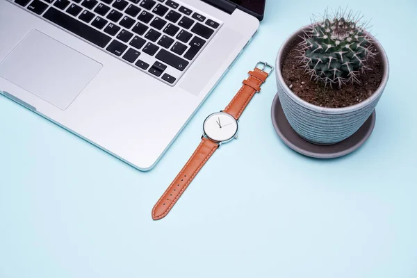 Armbanduhr, Laptop, Kakteentopf auf leerem blauen Hintergrund — Stockfoto