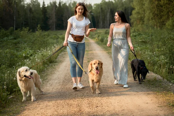 Parkta üç köpekle yürüyen iki genç kadın. — Stok fotoğraf