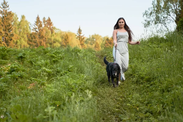 Morena mujer en paseo con el perro en el parque en verano — Foto de Stock