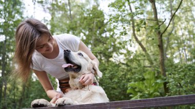 Köpekli mutlu kız yaz günü ormanın ortasında köprüde duruyor.