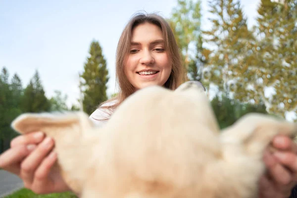 Detailní záběr happy girl holding dog by ears on summer day — Stock fotografie