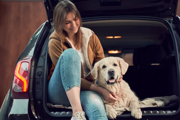 Jovem mulher de jeans azul ao lado de golden retriever sentado em tronco aberto de carro preto — Fotografia de Stock